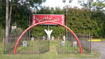 Sweet Dreams - Pasadena, TX.jpg