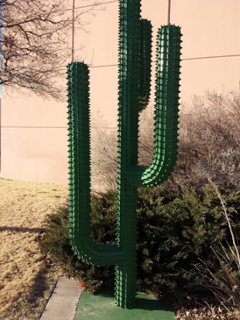 Cacti - Odessa, TX.jpg