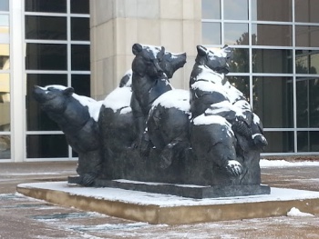 DaBears - Greenwood Village, CO.jpg