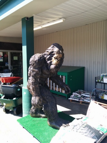 Ace Hardware Bigfoot Statue - Tacoma, WA.jpg