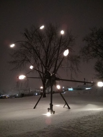 Lightpole Sculpture - Ottawa, ON.jpg