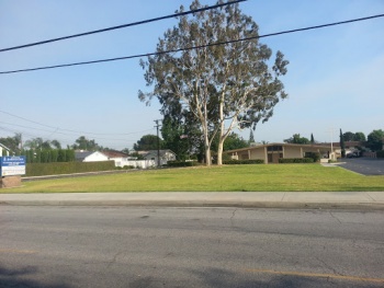 Westminster Presbyterian Church - Temple City, CA.jpg