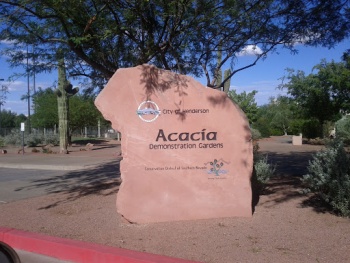Acacia Demonstration Gardens - Henderson, NV.jpg