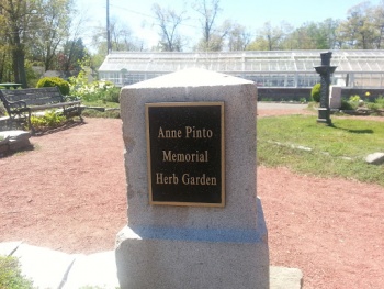 Anne Pinto Memorial Herb Garden - West Hartford, CT.jpg