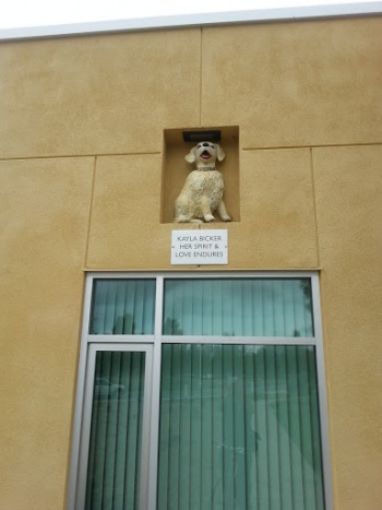 Kayla Bickers Endures - Walnut Creek, CA.jpg