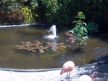 Flamingo Fountain - Saint Petersburg, FL.jpg