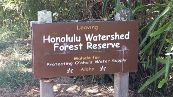 Forest Reserve - Honolulu, HI.jpg