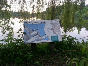 Lost Lagoon Flyway - Vancouver, BC.jpg