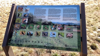 Park Sign Skyline - Arvada, CO.jpg