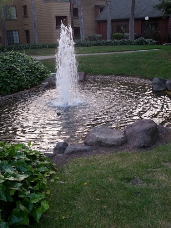 Fountain Of Youth - Santa Rosa, CA.jpg