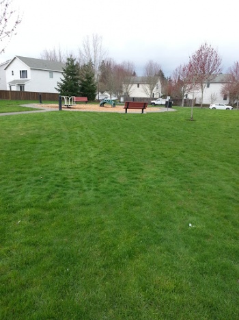Legacy Knoll Park - Hillsboro, OR.jpg