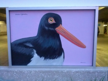 Bird Painting - Clearwater, FL.jpg