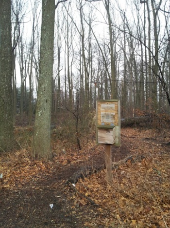 Edgar Woods - Metuchen, NJ.jpg
