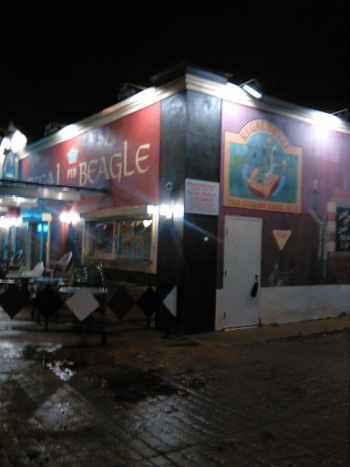 Regal Beagle - Calgary, AB.jpg