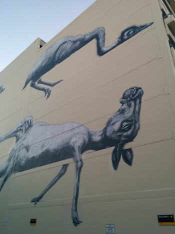 Aussie Animals Graffiti - West Perth, WA.jpg