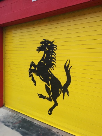 Courageous Stallion - Dallas, TX.jpg