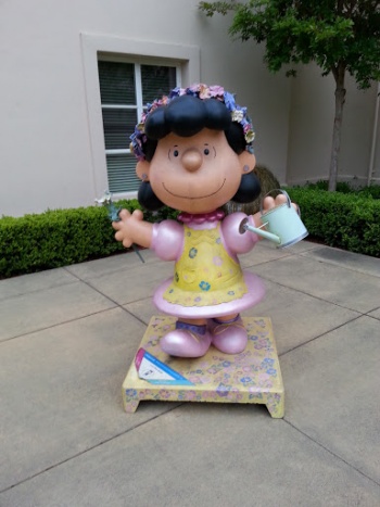 Lucy The Gardener - Santa Rosa, CA.jpg