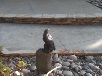 Watchful Eyes Statute - San Diego, CA.jpg