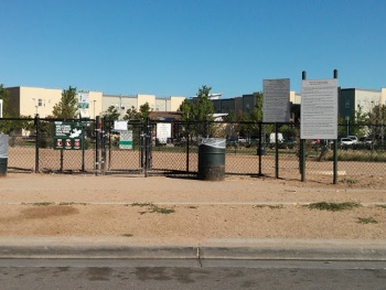 Stapleton Off-leash Dog Park - Denver, CO.jpg