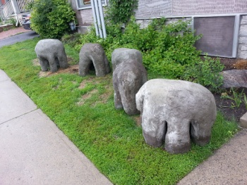 Headless Elephants - Ottawa, ON.jpg