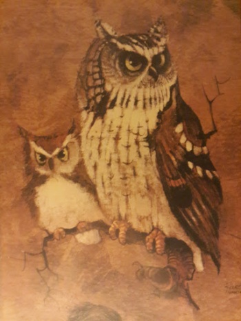 All Watching Owls Mural - Burbank, CA.jpg