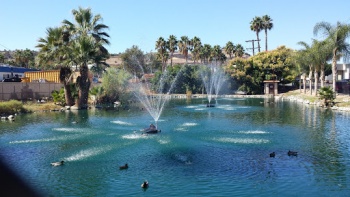 Gillespie Field Duck Fountain - El Cajon, CA.jpg