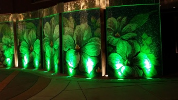 Flowers Waterwall - Wichita, KS.jpg