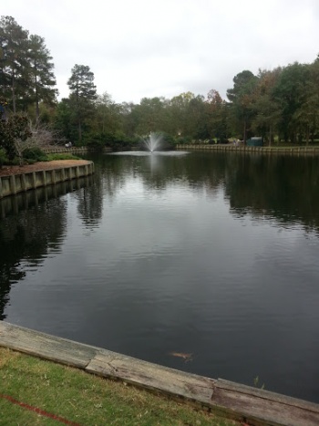 Prestonwood Hole 14 Fountain - Cary, NC.jpg