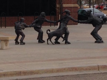 Life on the Wild Side - Greeley, CO.jpg