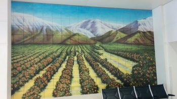Citrus Mural - Ontario, CA.jpg