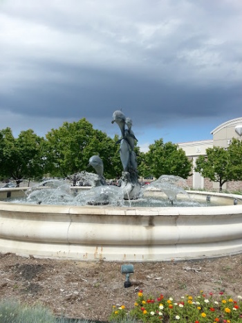 Dolphin Jump - Westminster, CO.jpg