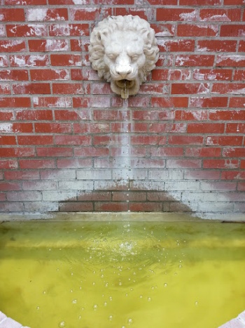 Lion Fountain - Los Angeles, CA.jpg