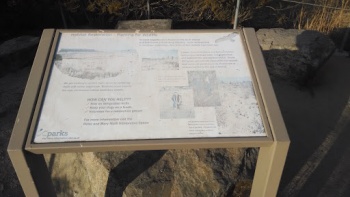 Planting For Wildlife - Newport Beach, CA.jpg