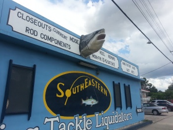 Shark Head on Wall - Tampa, FL.jpg