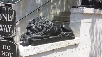 Let Sleeping Lions Lie - Winston-Salem, NC.jpg