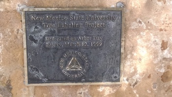 NMSU Tree Labeling Project - Las Cruces, NM.jpg