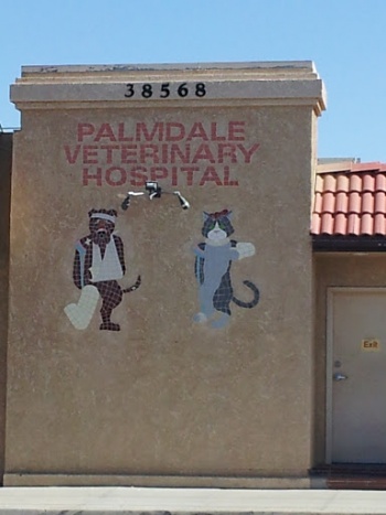 Palmdale Veterinary Hospital Tile Mosaic Dog and Cat Art - Palmdale, CA.jpg