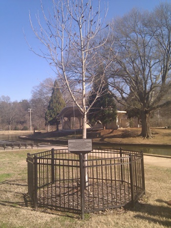The North Carolina Liberty Tree - Charlotte, NC.jpg
