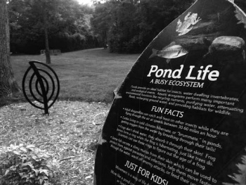 Pond Life Pod - Chattanooga, TN.jpg
