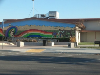 Celebrating Our Community - San Jose, CA.jpg