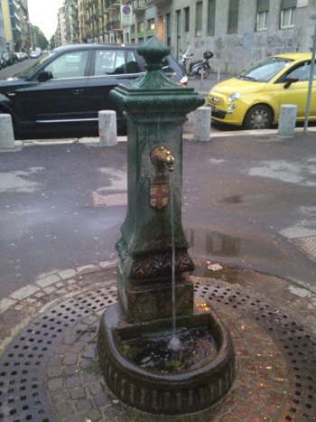Drago Verde Montevideo - Milano, Lombardia.jpg