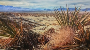 Desert Mural - Victorville, CA.jpg