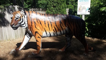 Amur Tiger Statue - Syracuse, NY.jpg