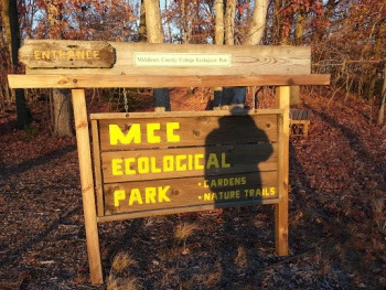 MCC Ecological Park - Edison, NJ.jpg