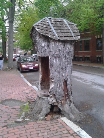 Pooh House North - Cambridge, MA.jpg