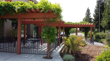 Laguna 16 Pergola - Elk Grove, CA.jpg