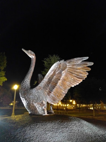 Wolfson Memorial - Lakeland, FL.jpg