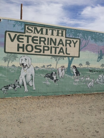 Smith Veterinary Hospital Mural - Lancaster, CA.jpg