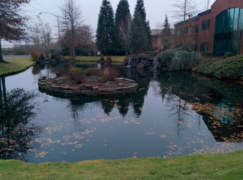 Creekside Center Pond and Fountain - Salem, OR.jpg