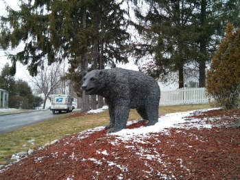 The Bear at Dakota Ridge - Akron, OH.jpg